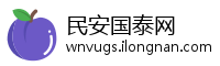民安国泰网